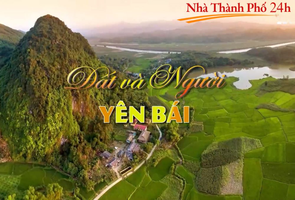 Tuyển dụng Nhà Thành Phố 24h (3)